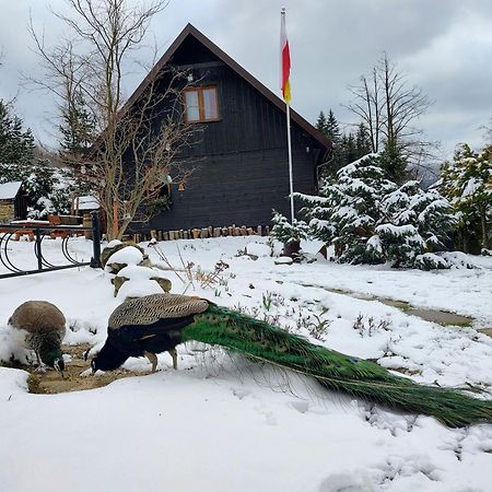 Beskidzka Ostoja Koszarawa Extérieur photo
