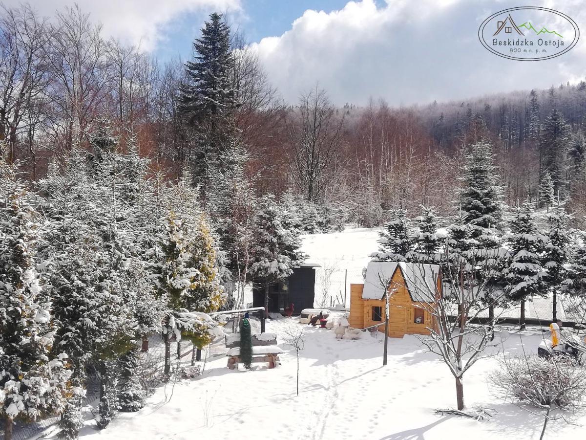 Beskidzka Ostoja Koszarawa Extérieur photo
