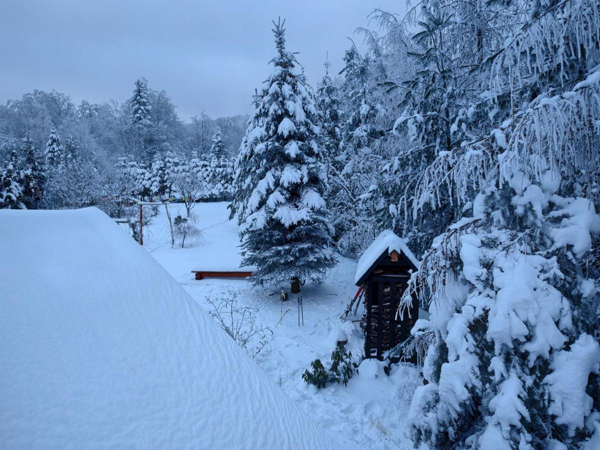 Beskidzka Ostoja Koszarawa Extérieur photo