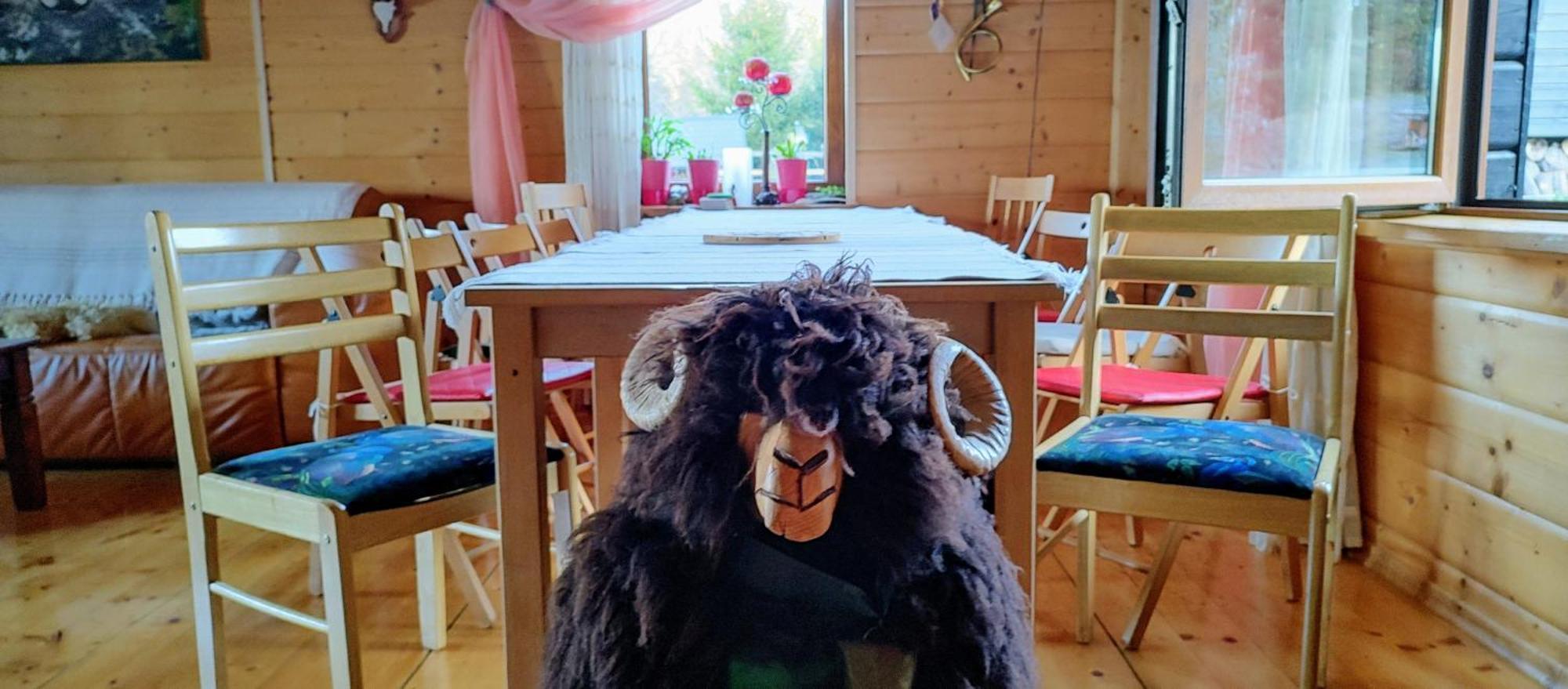 Beskidzka Ostoja Koszarawa Extérieur photo