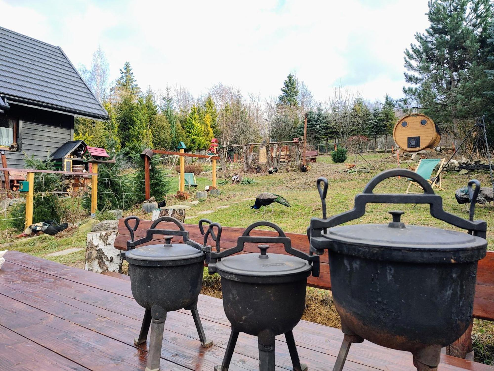 Beskidzka Ostoja Koszarawa Extérieur photo
